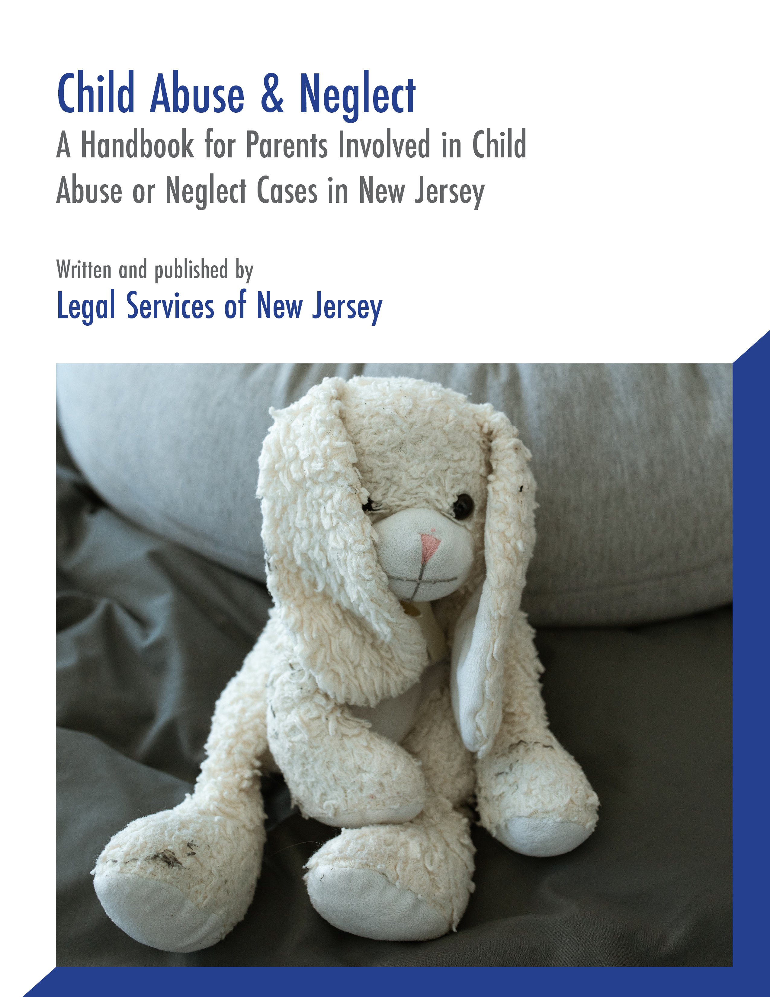 Child Abuse and Neglect: A guide for parents involved in child abuse or neglect cases in New Jersey